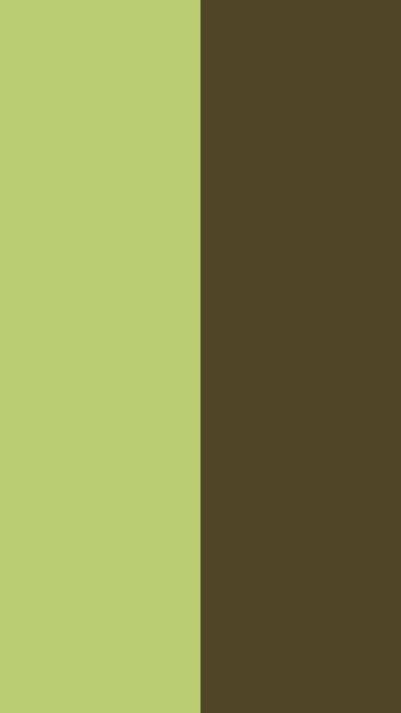 Wallpaper Green, Brown, Line, Color, Background, Minimalism - Colorfulness - HD Wallpaper 