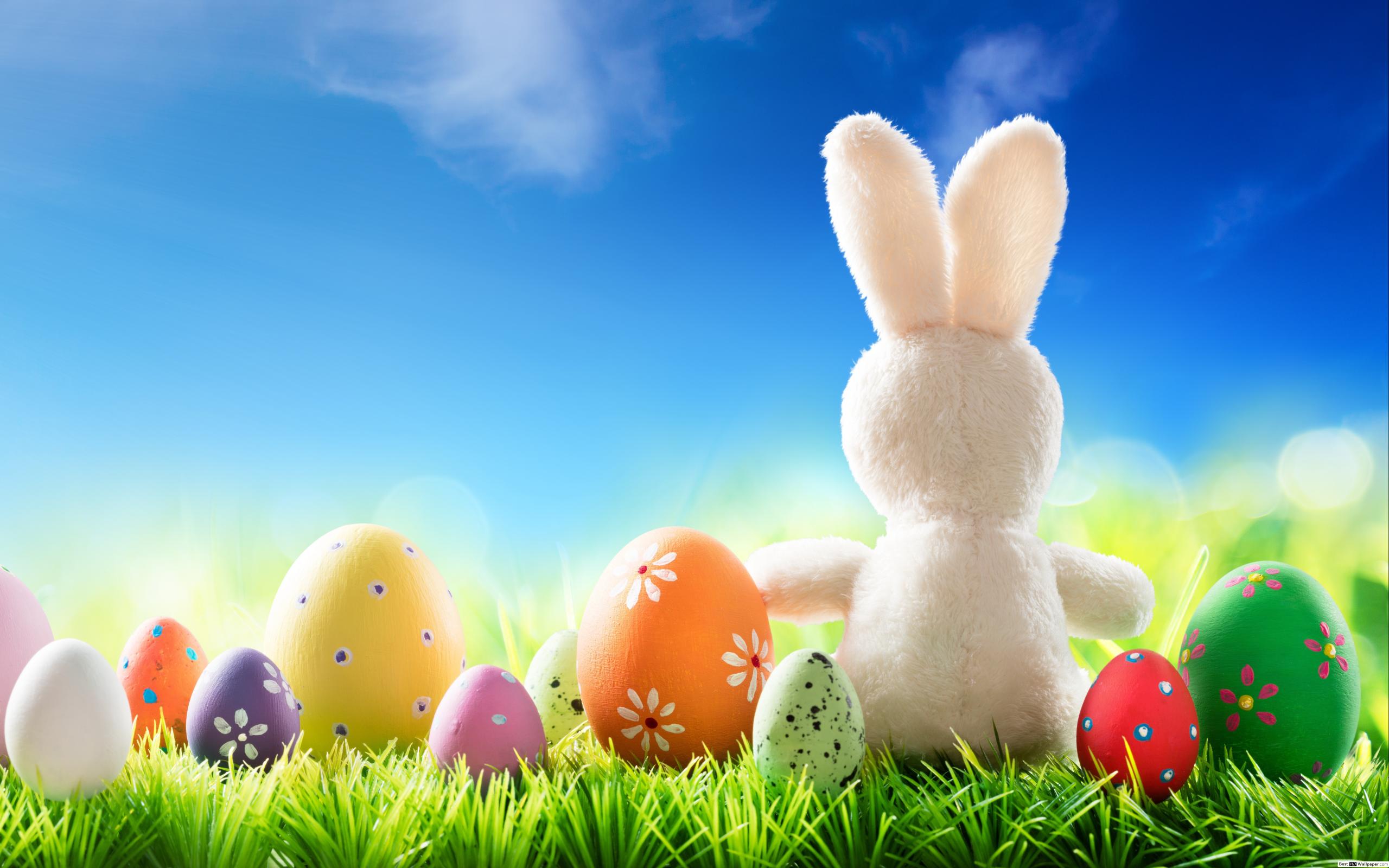 Easter Egg And Bunny Background - HD Wallpaper 