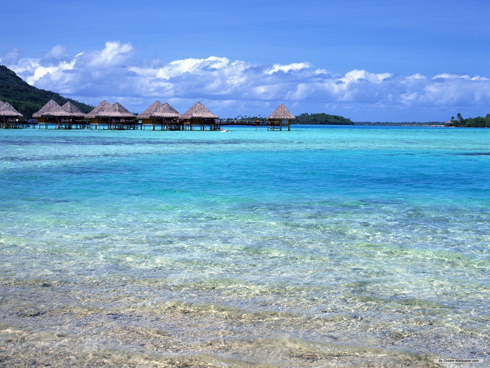 Free Travel Wallpaper - Tahiti - HD Wallpaper 