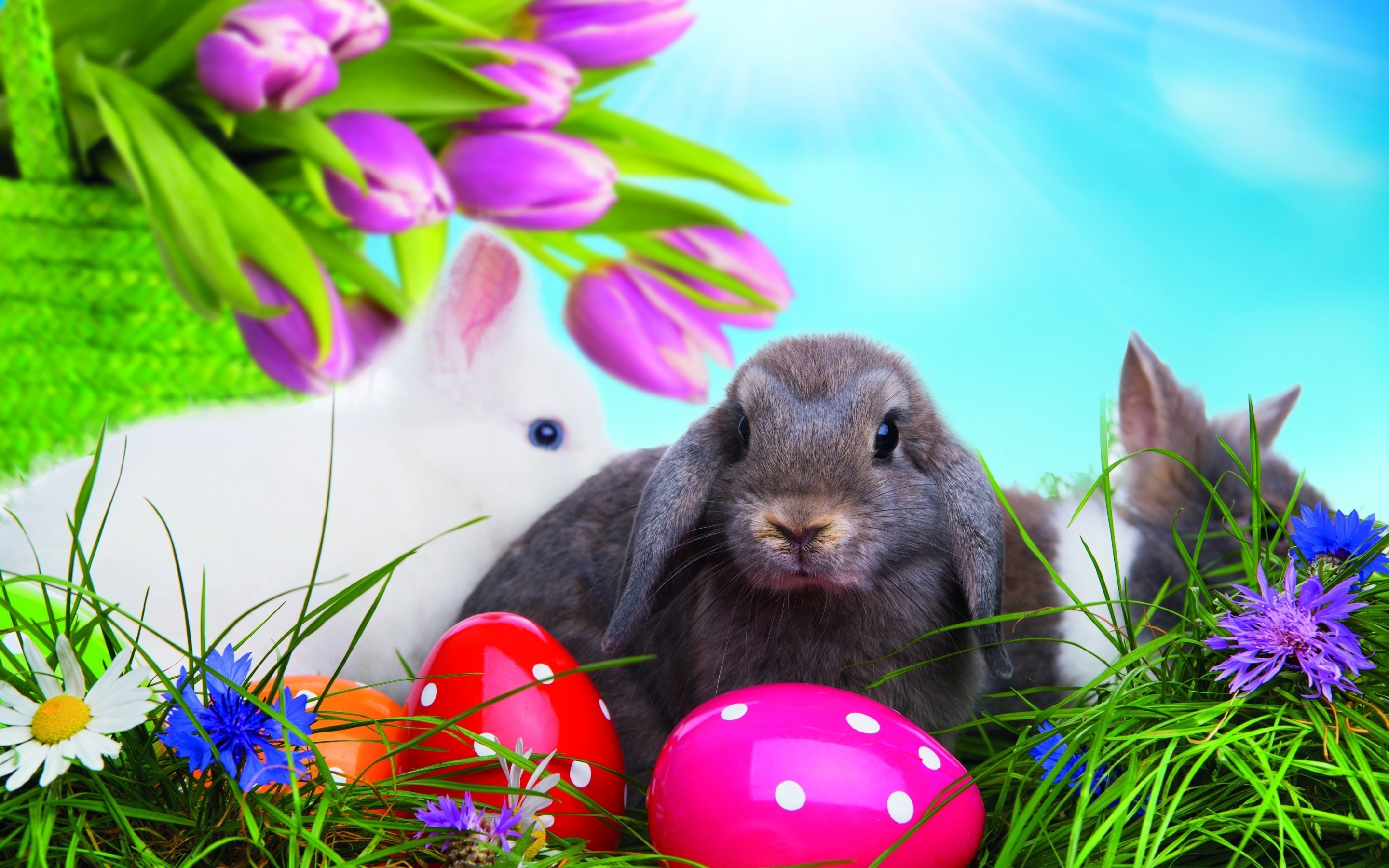 Desktop Wallpaper Easter - HD Wallpaper 