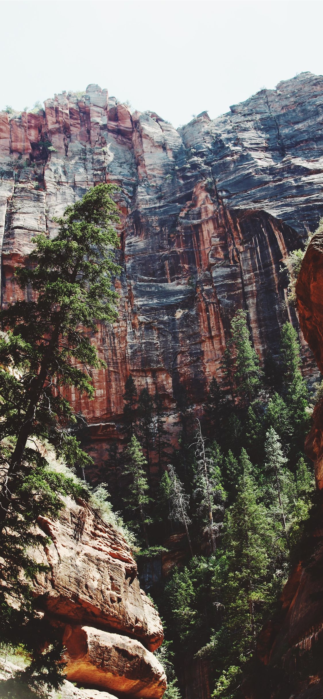 Zion National Park Wallpaper Iphone - HD Wallpaper 