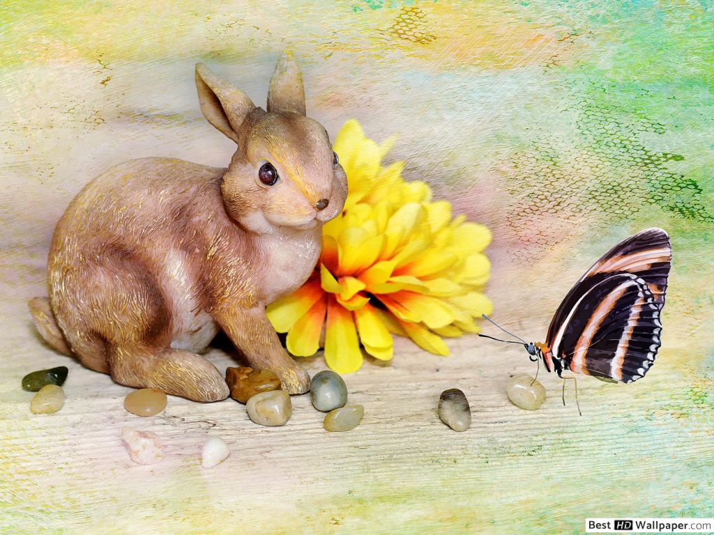 Easter Bunny - HD Wallpaper 
