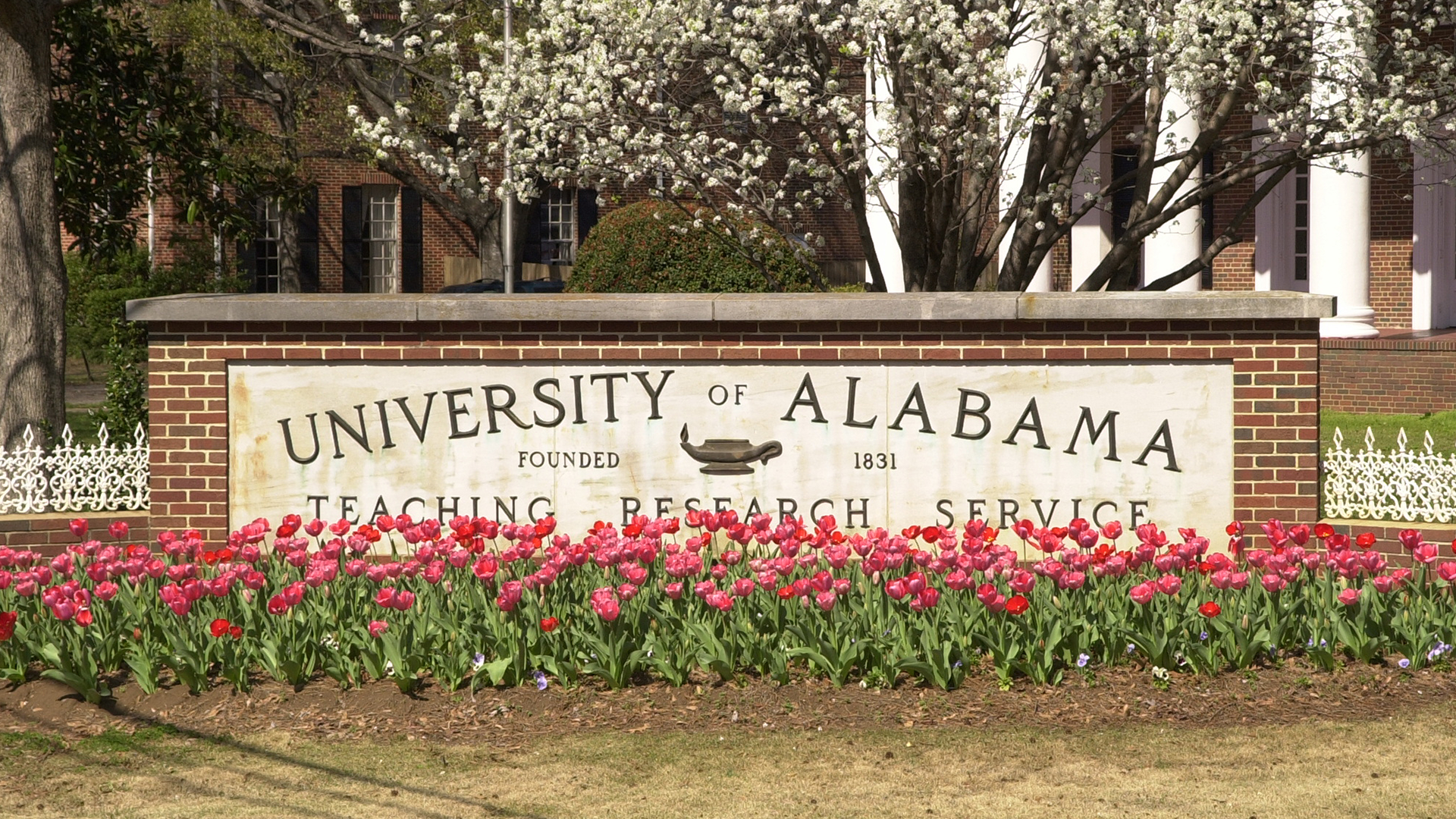 University Of Alabama Teaching Research Service - University Of Alabama Located - HD Wallpaper 