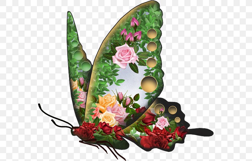 Gfycat Giphy Desktop Wallpaper, Png, 571x526px, Gfycat, - Butterfly - HD Wallpaper 