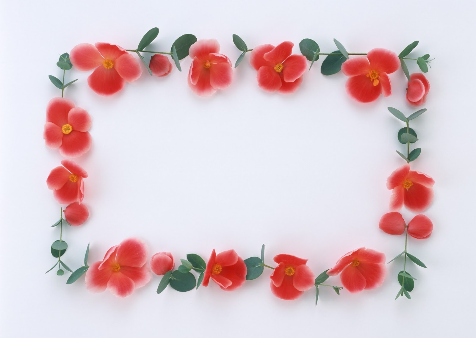 Red Rose, Wedding, Valentine Day, Love Frame Background - Animated Flower  Ppt Background Hd - 1600x1136 Wallpaper 
