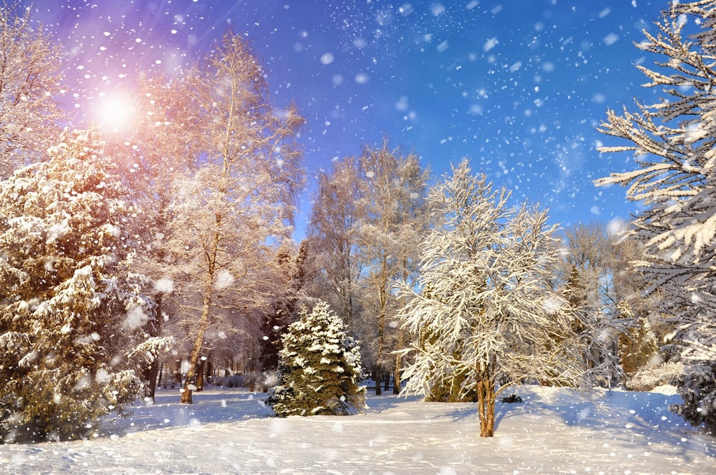 3 D Wallpaper Winter - HD Wallpaper 