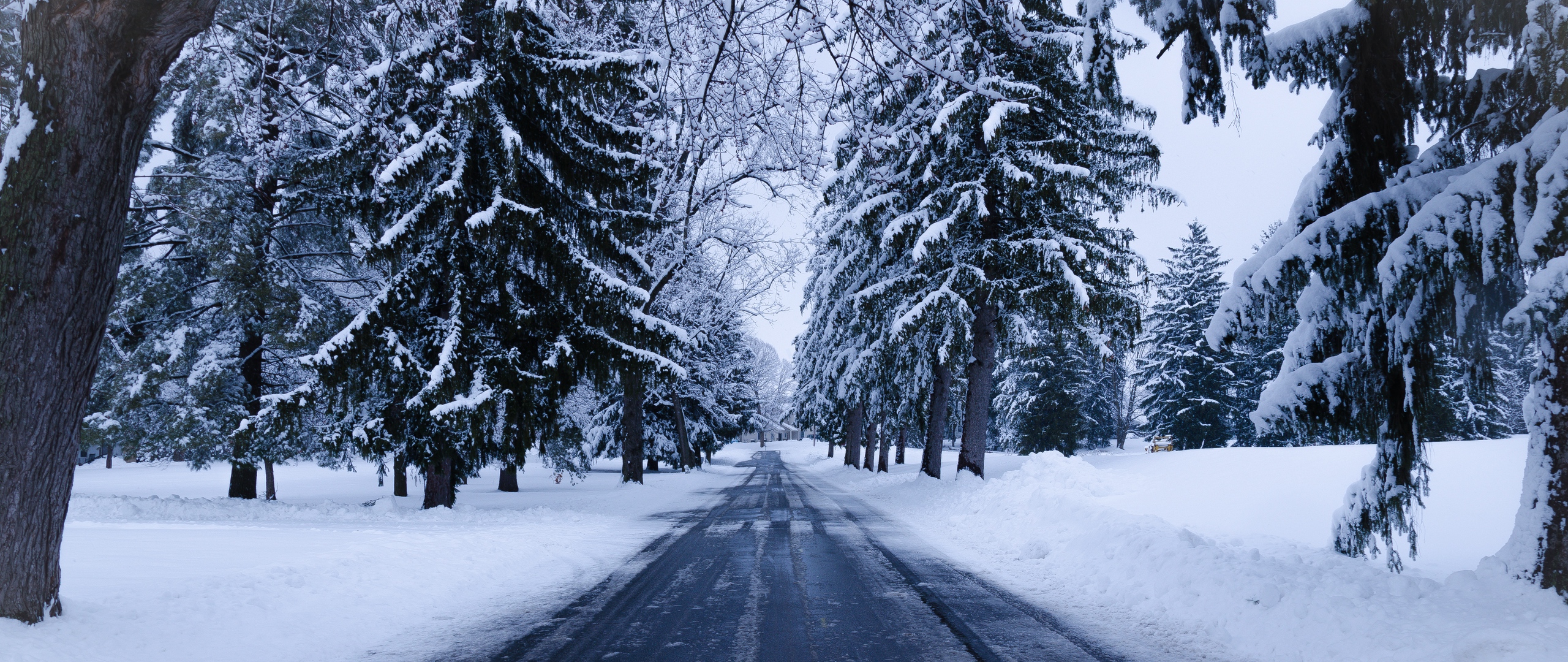 Wallpaper Winter, Road, Snow, Trees, Winter Landscape - Winter 1080p - HD Wallpaper 