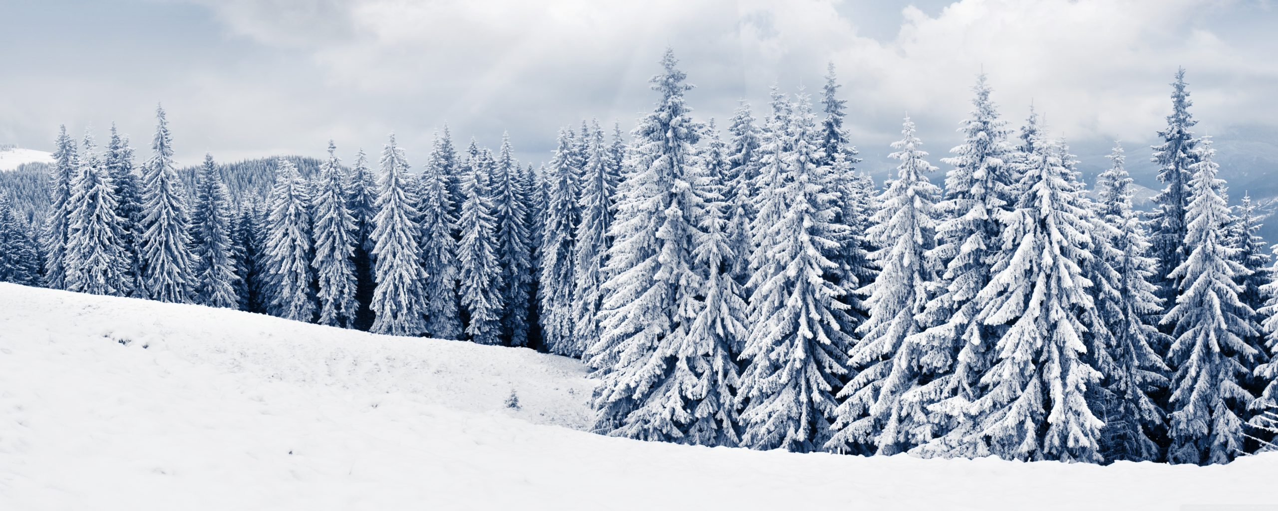 Free Download Winter Wallpaper 2 Monitors Background - Winter Background Dual Monitor - HD Wallpaper 