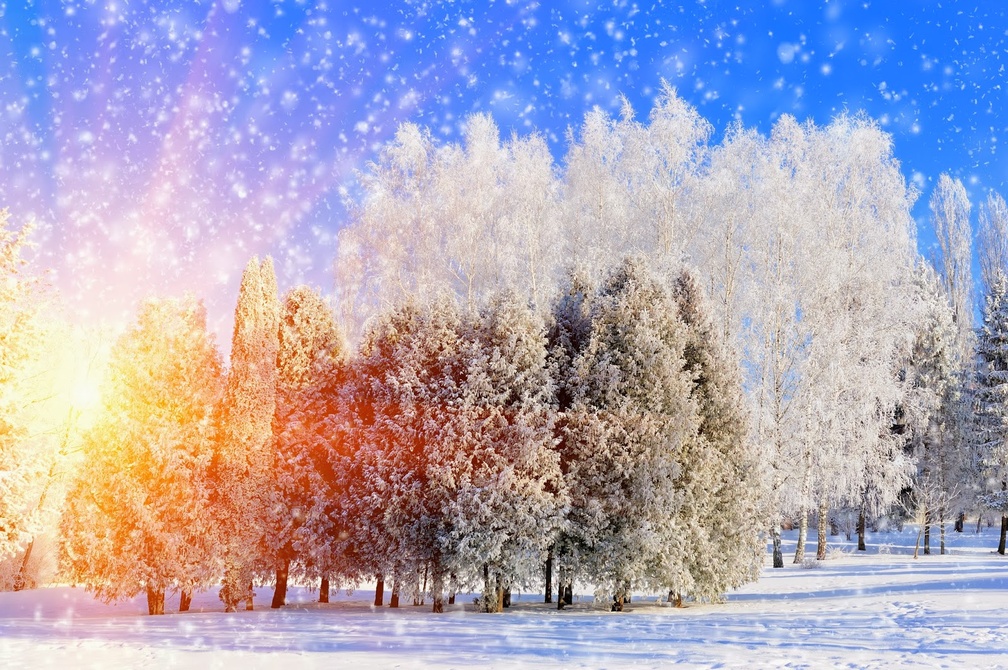 Winter Nature - HD Wallpaper 