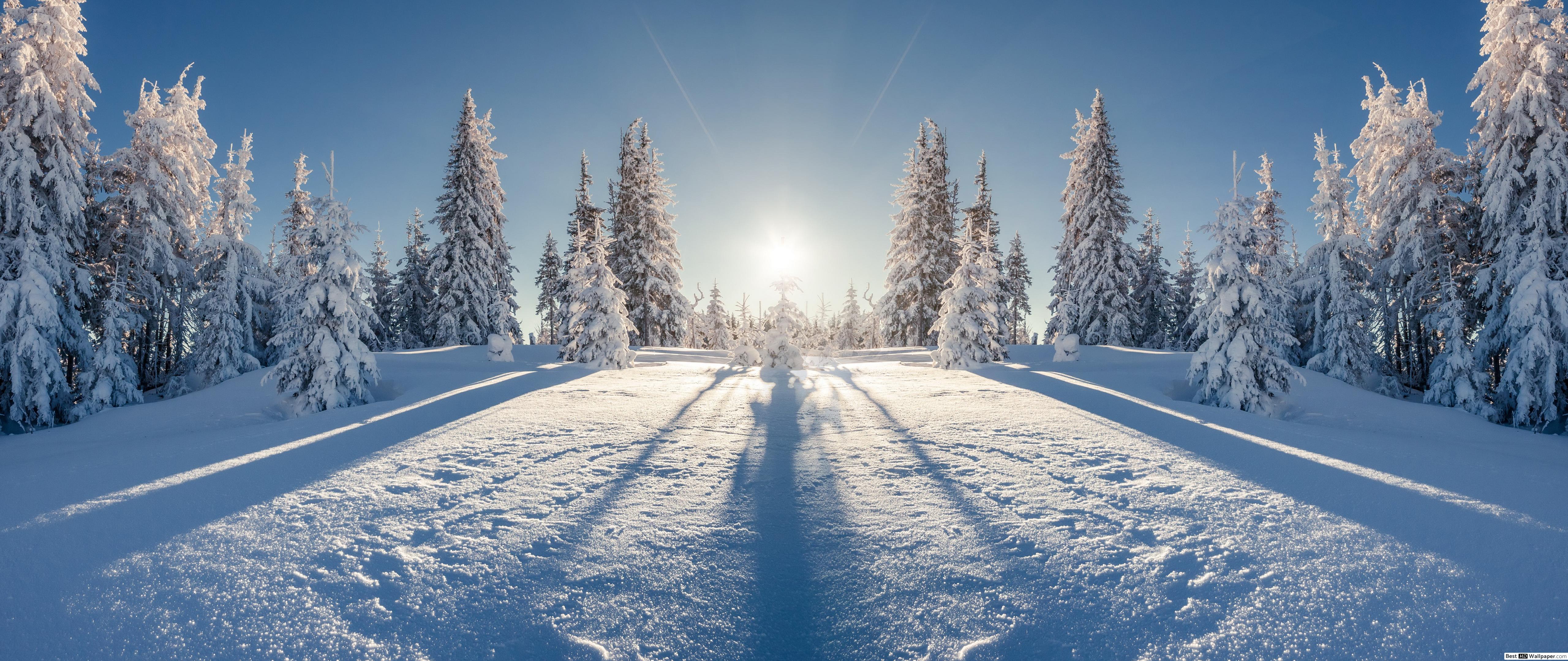Winter 4k - 5120x2160 Wallpaper - teahub.io