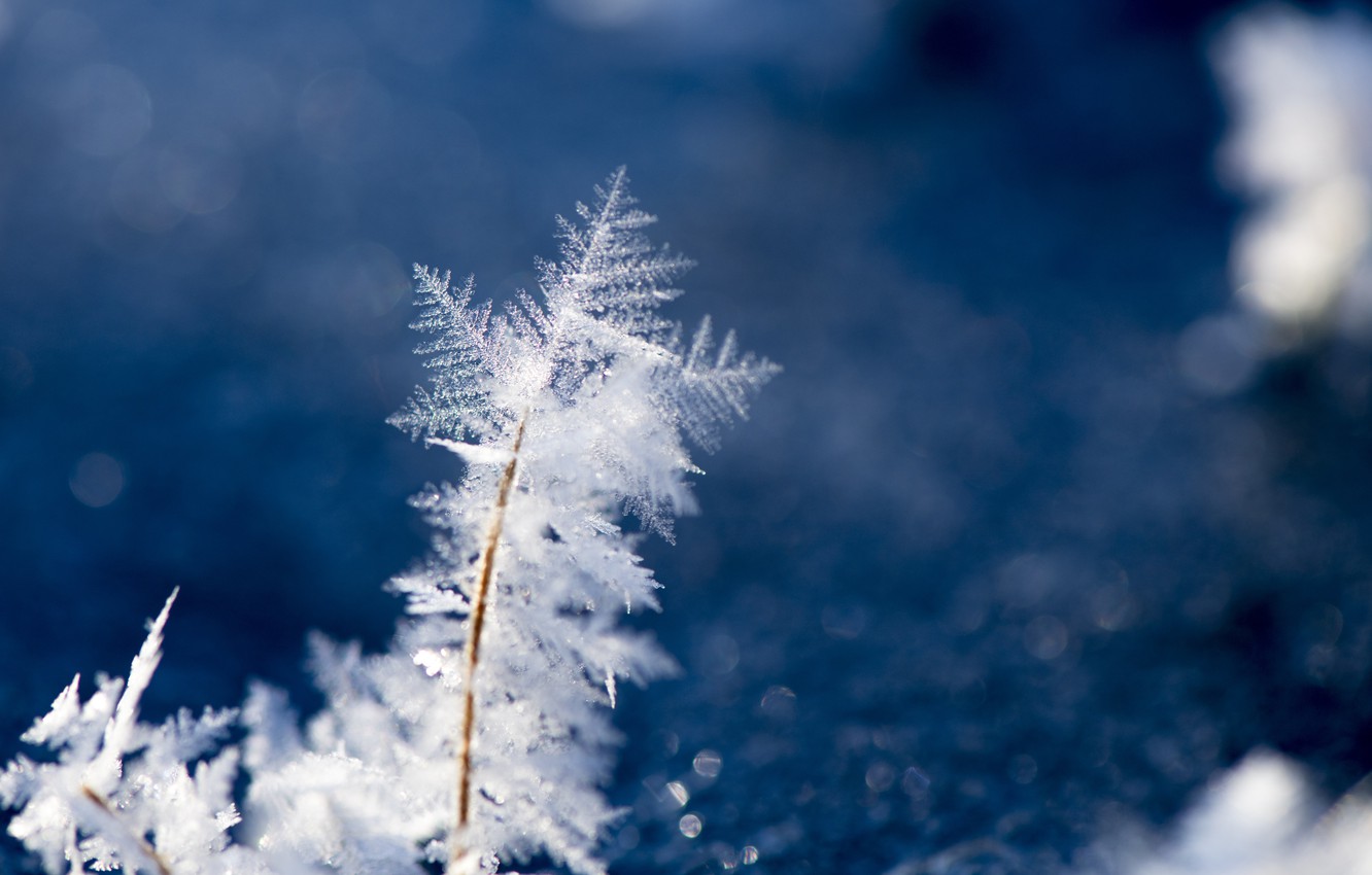Photo Wallpaper Nature, Winter, Wallpaper, Ice, Macro - Macro Photography Snowflakes - HD Wallpaper 