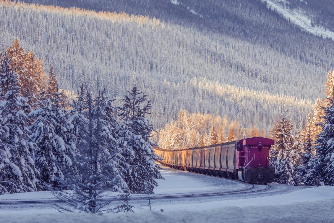 Download Wallpaper Frozen Freight Train Through Forest - Train Wallpaper Winter - HD Wallpaper 