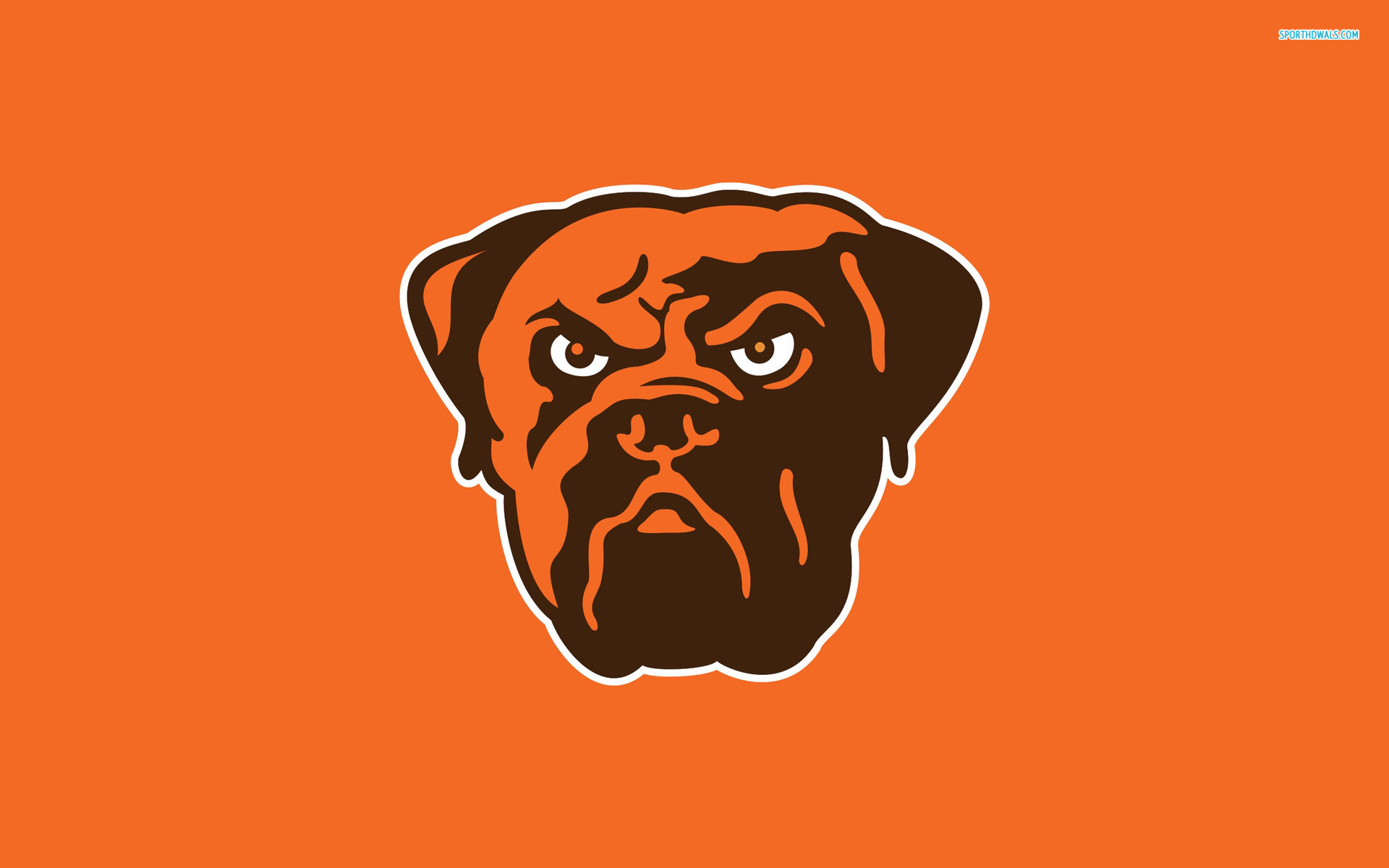 Cleveland Browns Bulldog - HD Wallpaper 