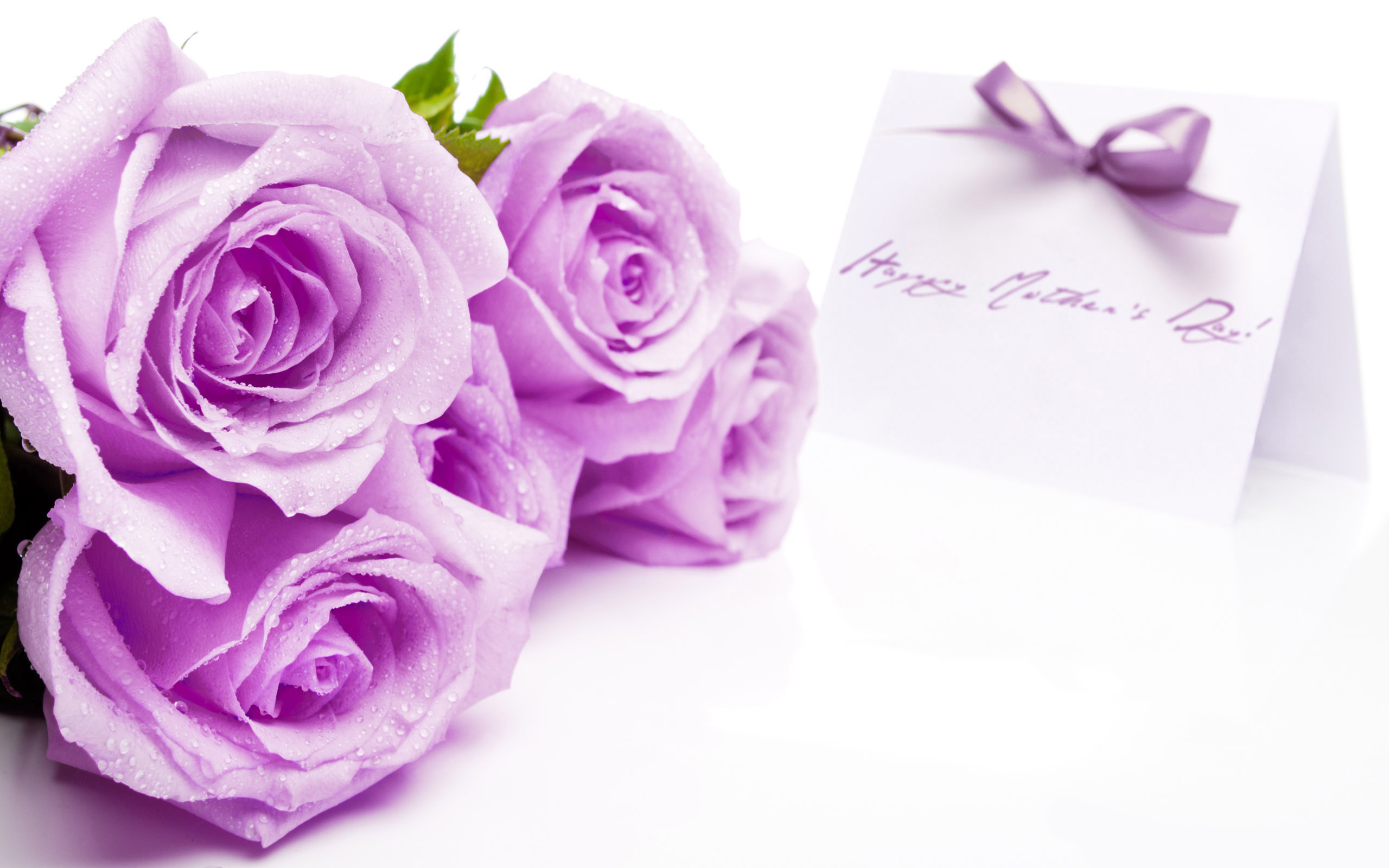 Free Holiday Happy Mother S Day, Special Day, Holiday, - Purple Rose Wedding Background - HD Wallpaper 