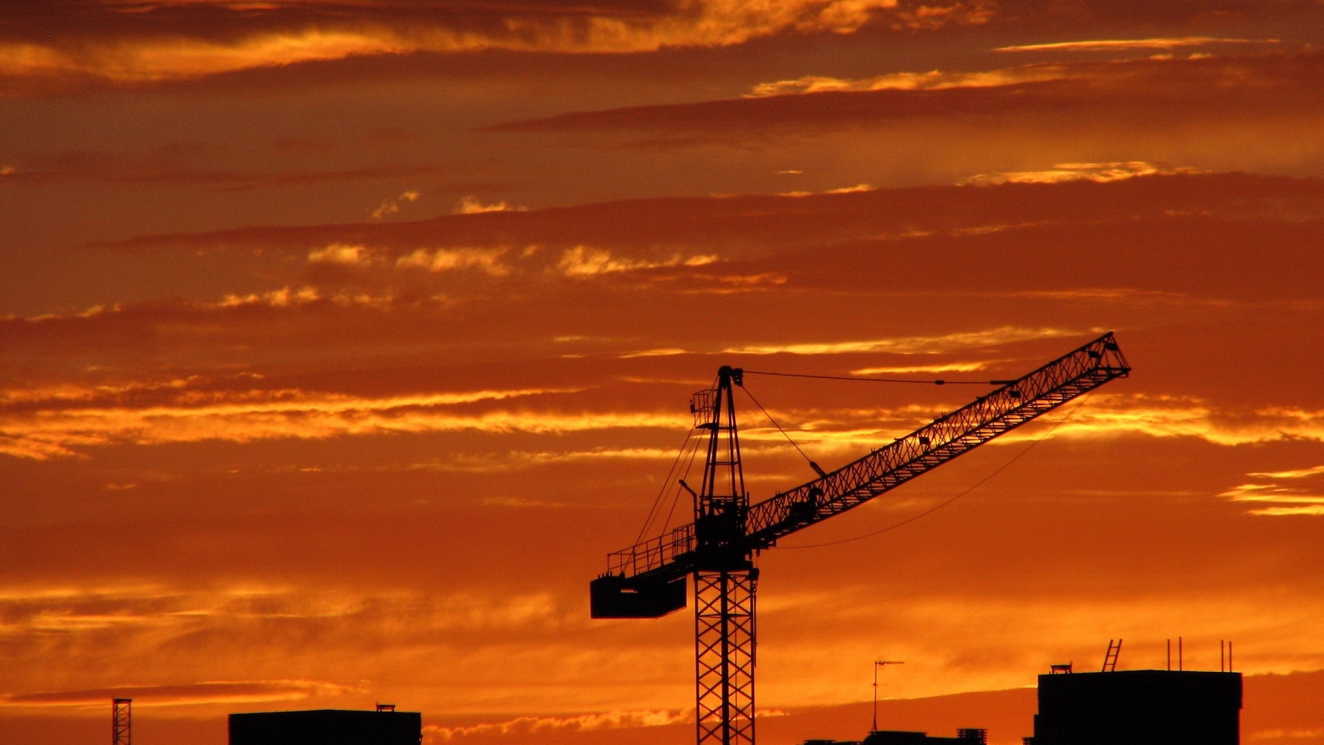 Wallpaper Crane, Sunset, Sky - Crane Sunset - HD Wallpaper 