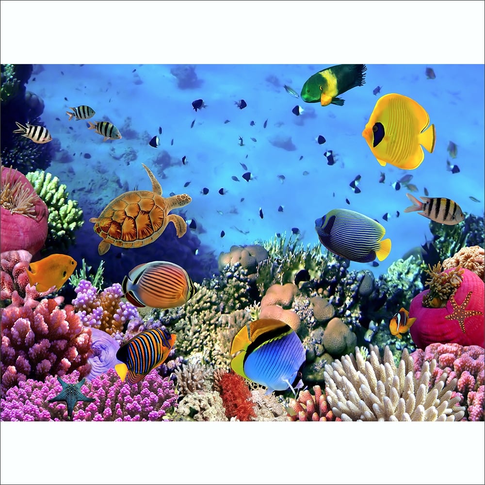 Under The Sea - HD Wallpaper 