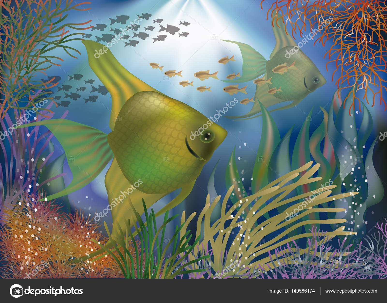 Coral Reef Fish - 1600x1251 Wallpaper - teahub.io