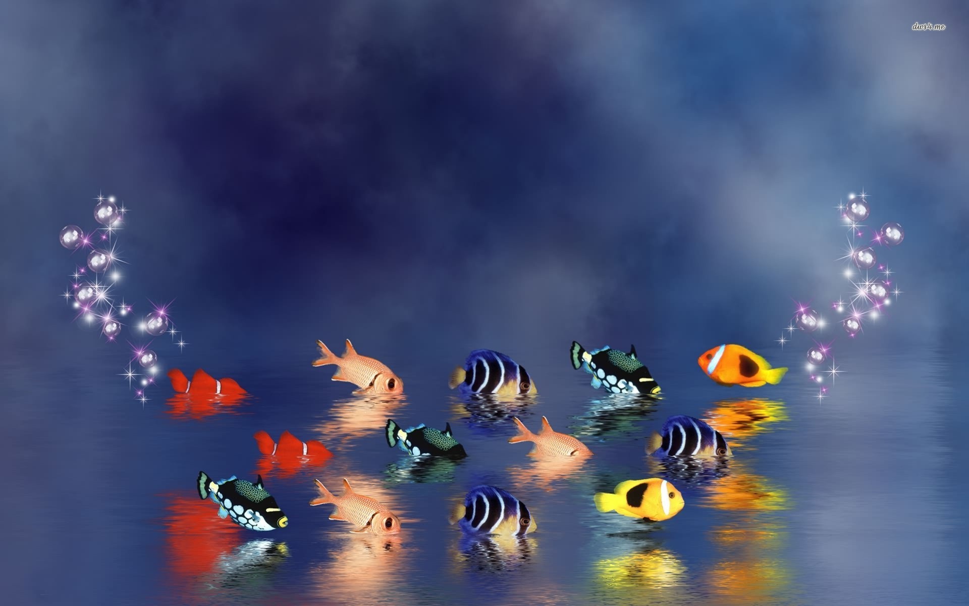 Fish Wallpaper Art - HD Wallpaper 