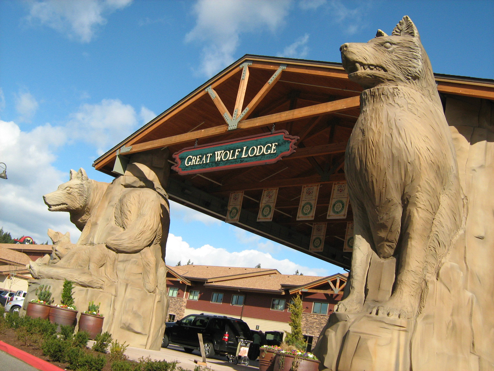 Free The Great Wolf Lodge Washington Water Park, Computer - Great Wolf Lodge Owl - HD Wallpaper 