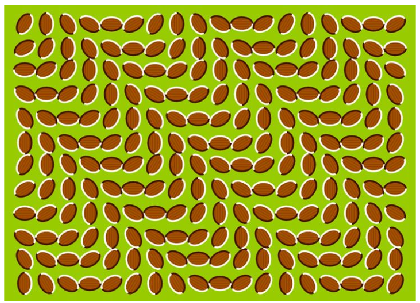 Moving - Optical Illusion - HD Wallpaper 