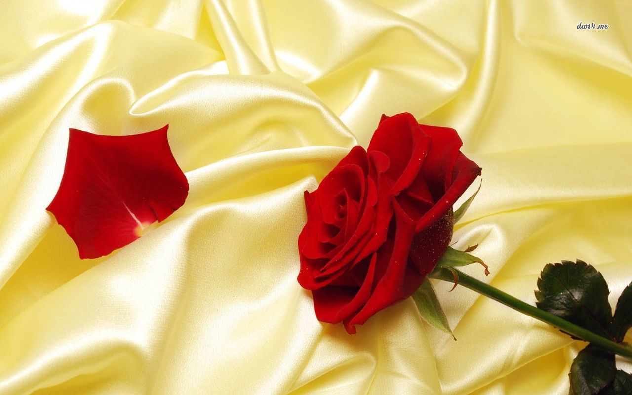 Love Song - HD Wallpaper 