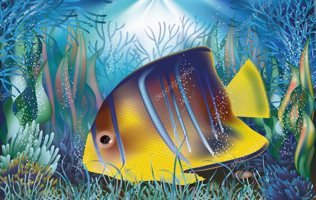 Illustration - HD Wallpaper 