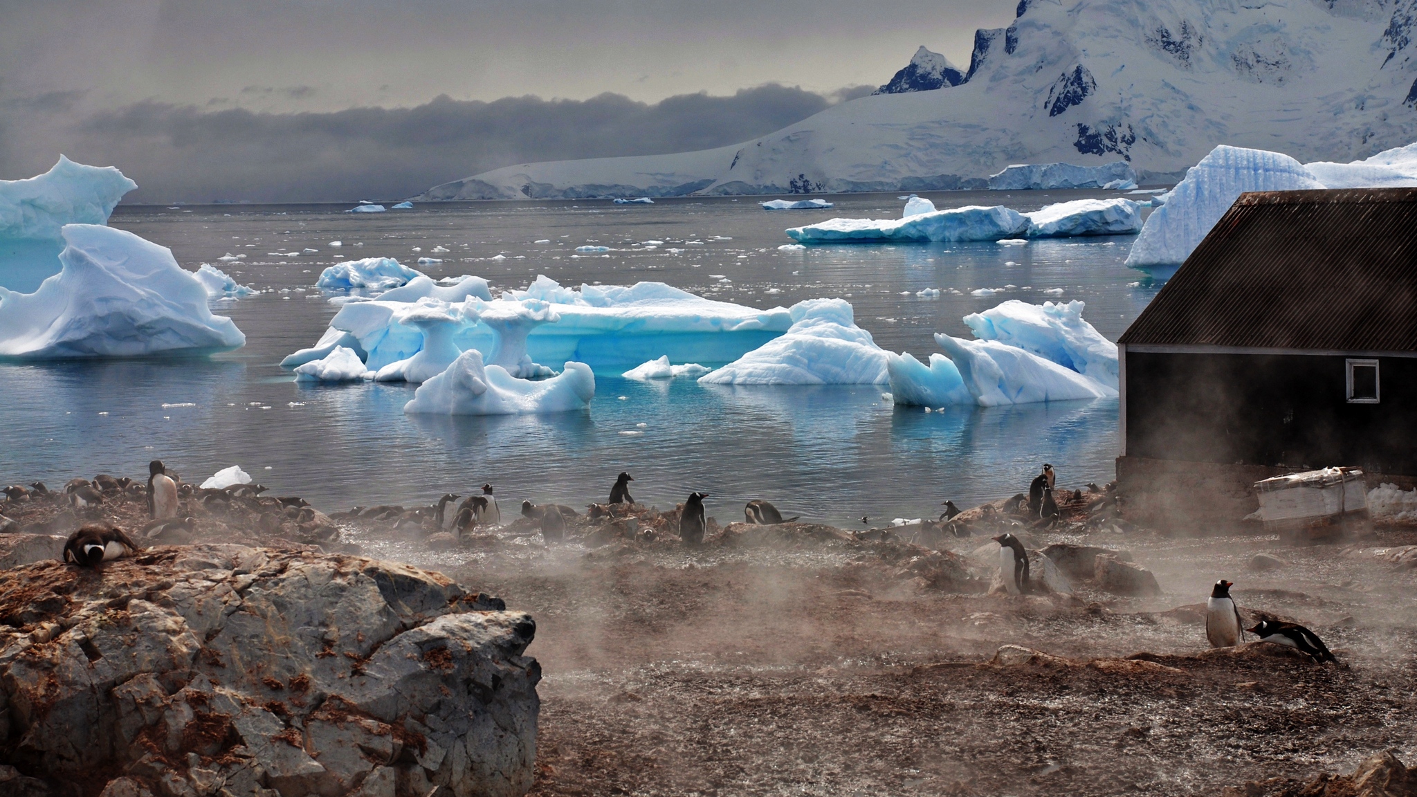 Wallpaper Icebergs, Antarctica, White, Blocks, Coast, - Обои На Рабочий Стол Антарктида - HD Wallpaper 