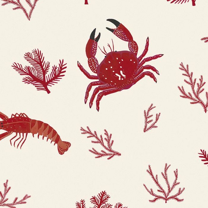 Fondos De Crustaceos - HD Wallpaper 