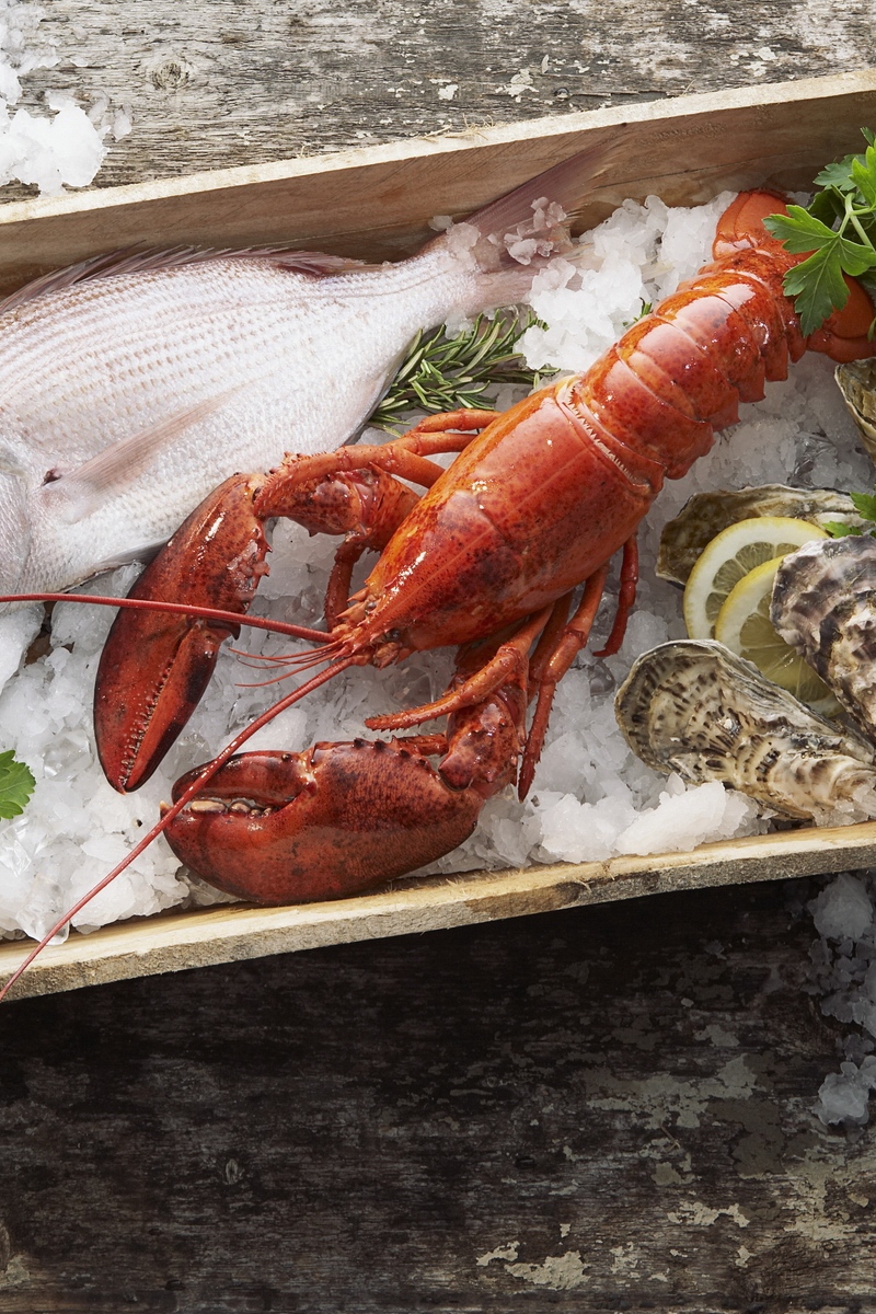Wallpaper Lobster, Fish, Mussels, Ice, Seafood, Box - Moluscos Y Mariscos Diferencias - HD Wallpaper 