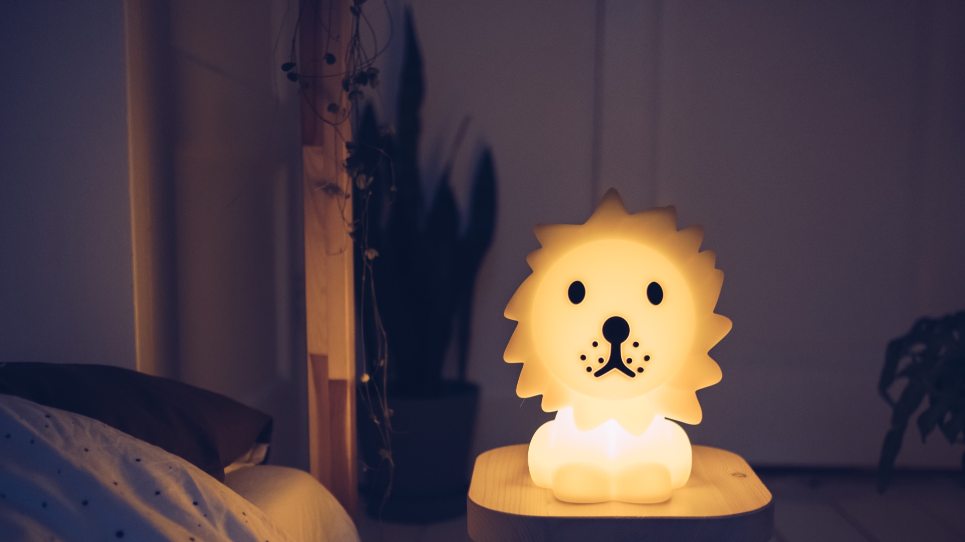 Lion Night Light - Mr Maria - HD Wallpaper 
