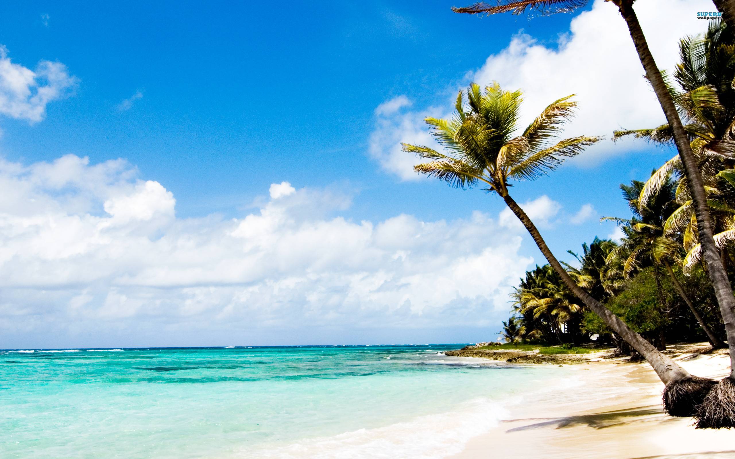 Caribbean Beach Desktop Background - HD Wallpaper 