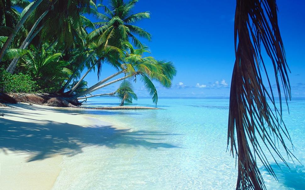 Exotic Beach On Tropical Island Wallpaper,scenery Hd - Exotic Beach - HD Wallpaper 