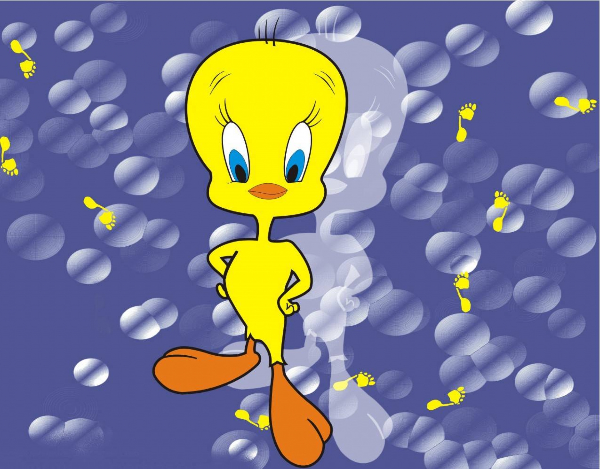 Tweety Bird - HD Wallpaper 