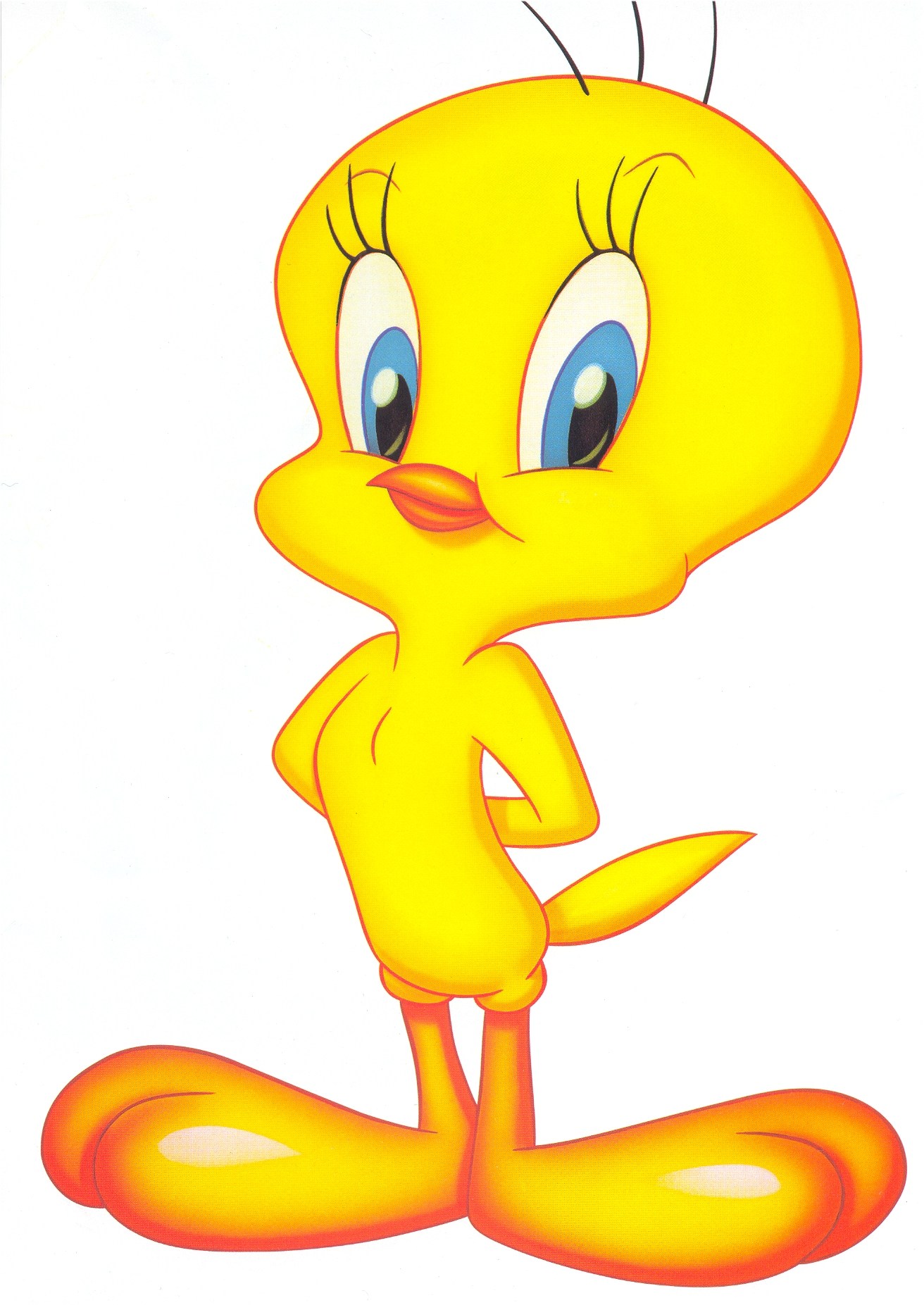 Bird Animated - HD Wallpaper 