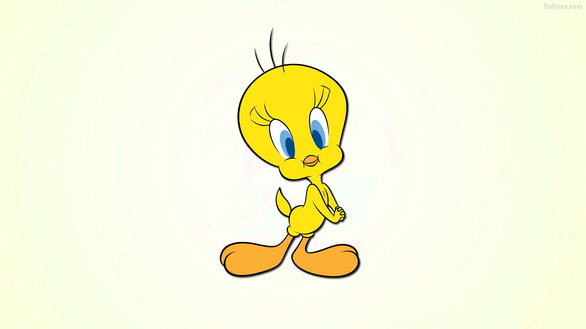 Home Â» Looney Tunes Wallpapers Hd Backgrounds, Images, - Tweety Bird - HD Wallpaper 