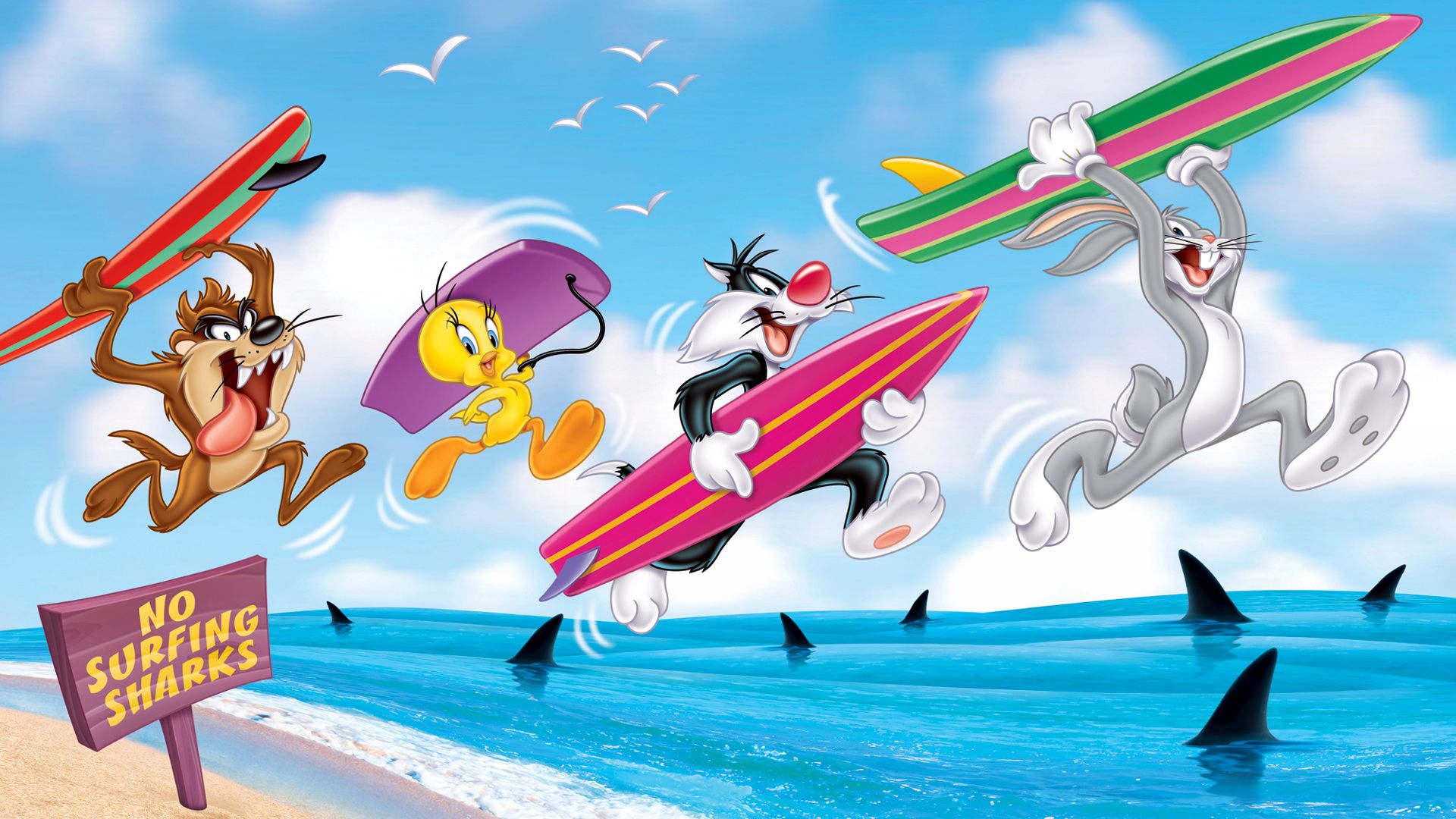 Taz Sylvester Looney Tunes - HD Wallpaper 