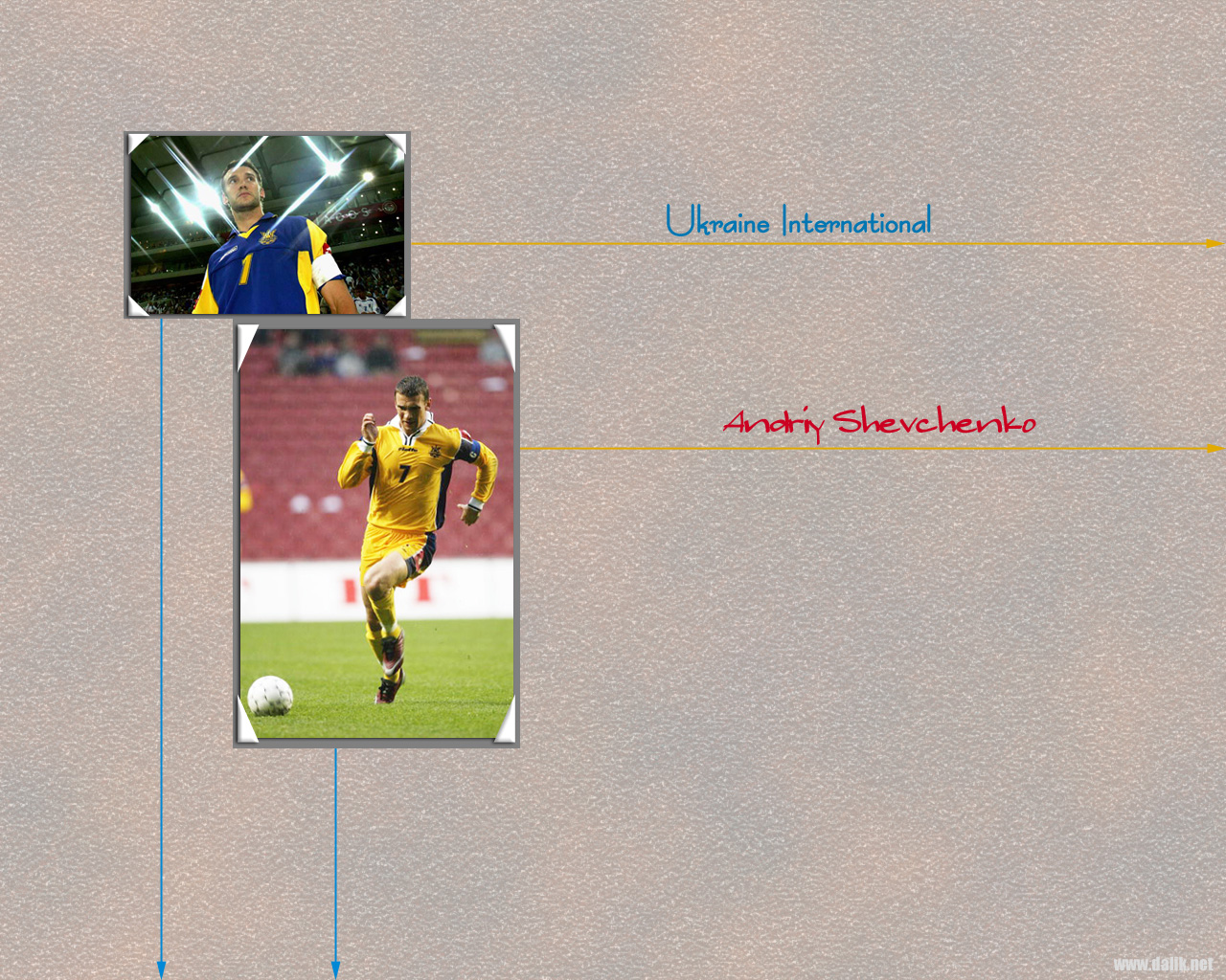 Player - HD Wallpaper 