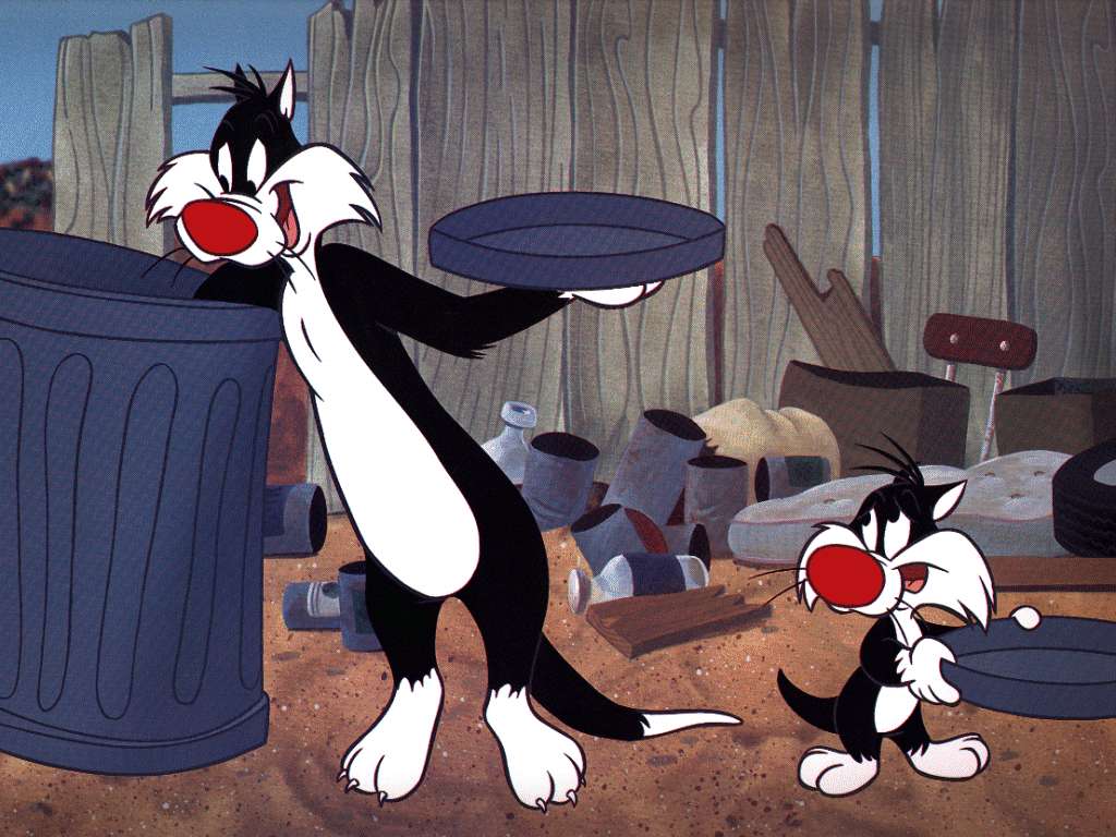 Sylvester Cat Son Ashamed - HD Wallpaper 