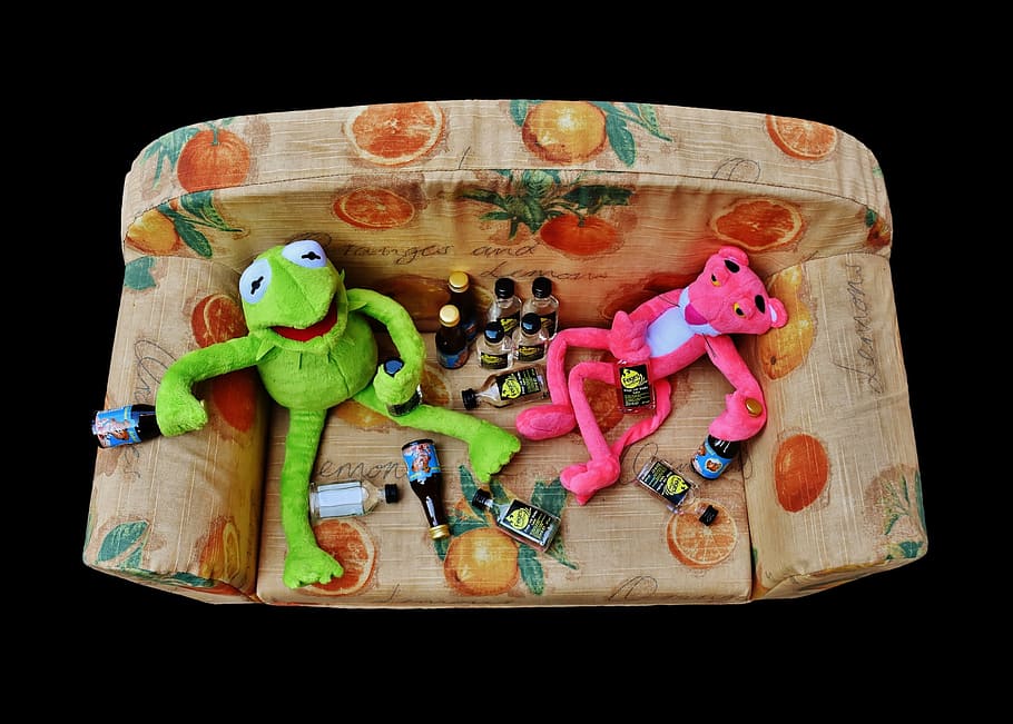 Pink Panther And Kermit The Frog Plush Toys Sitting - 20 Декабря Праздник Кого - HD Wallpaper 