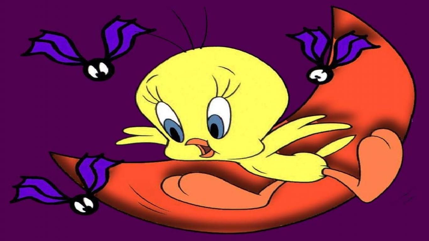 Tweety Bird - HD Wallpaper 