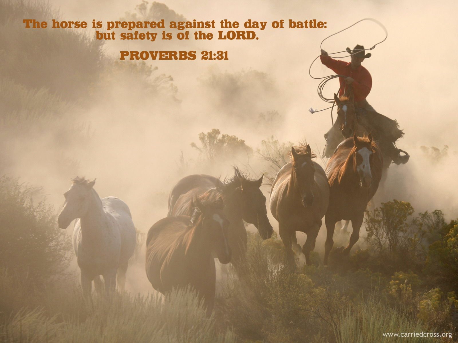 Christian Wallpapers And Backgrounds - Proverbs 2131 - HD Wallpaper 