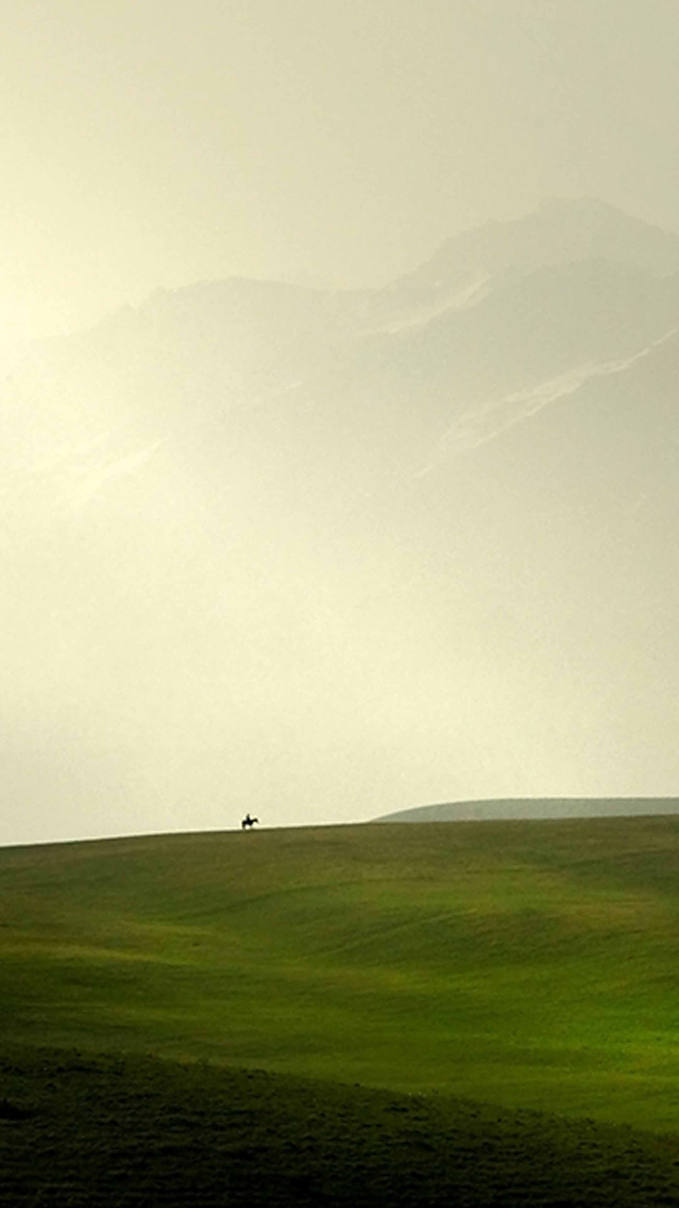 Cowboys Iphone Wallpaper - HD Wallpaper 