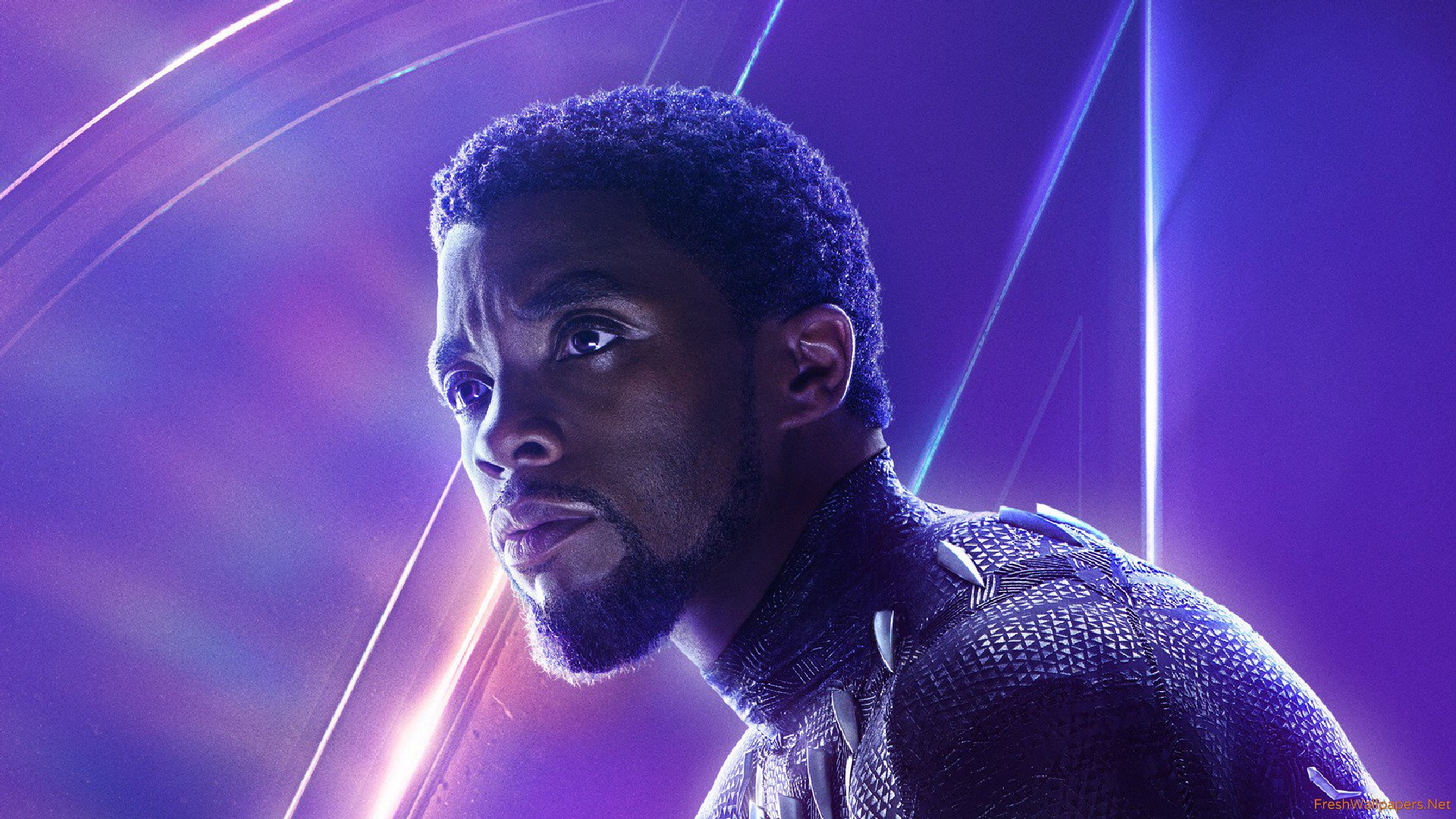 Black Panther Avengers Endgame 1920x1081 Wallpaper Teahub Io