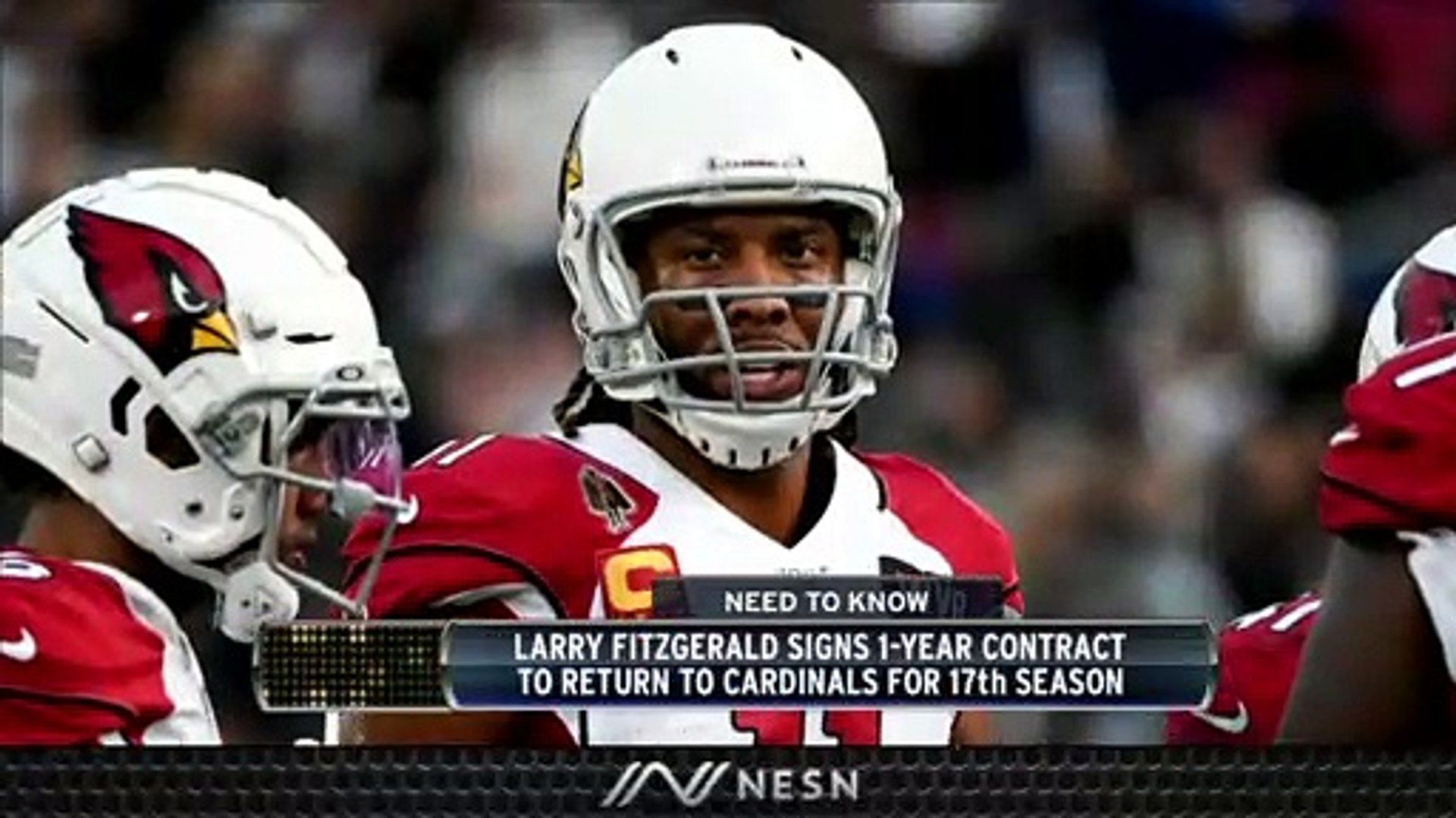 Arizona Cardinals - HD Wallpaper 