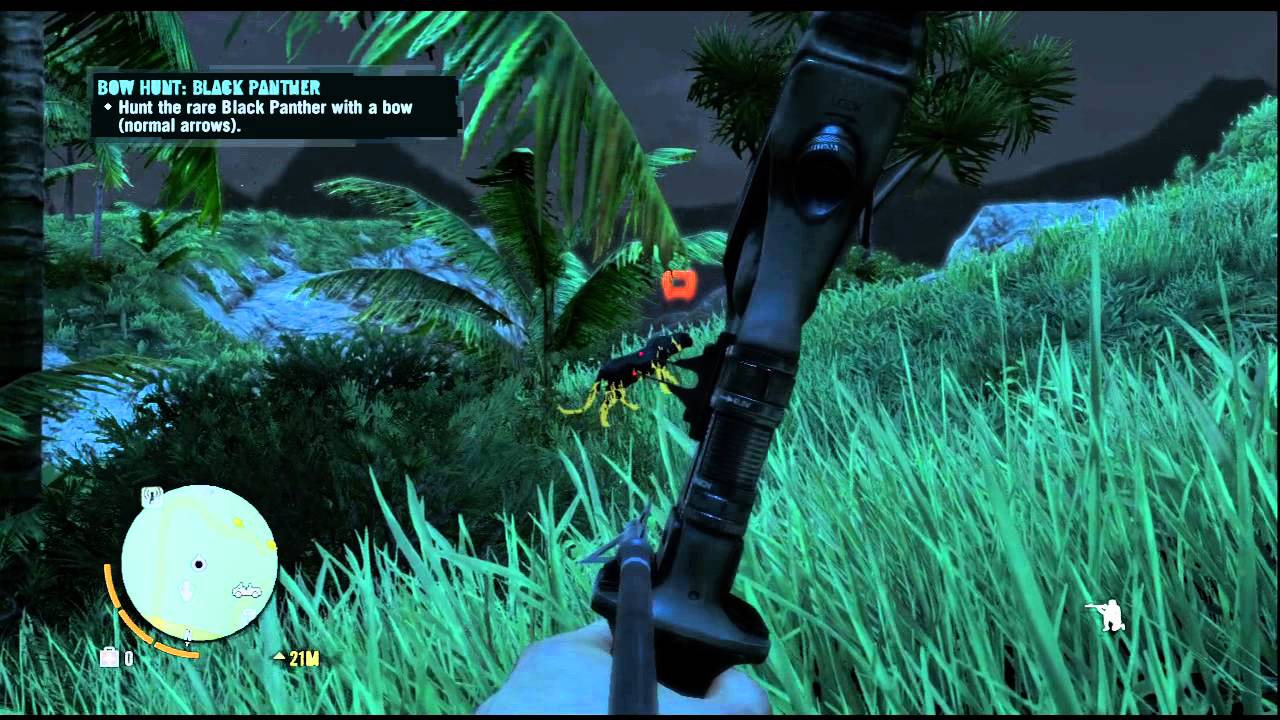 Black Panther Rare Animals - HD Wallpaper 