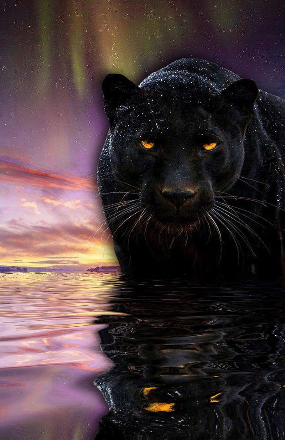 Panther, Water, Northern Lights, Nature, Animal, One - Walking The Path Nature's Wisdom - HD Wallpaper 