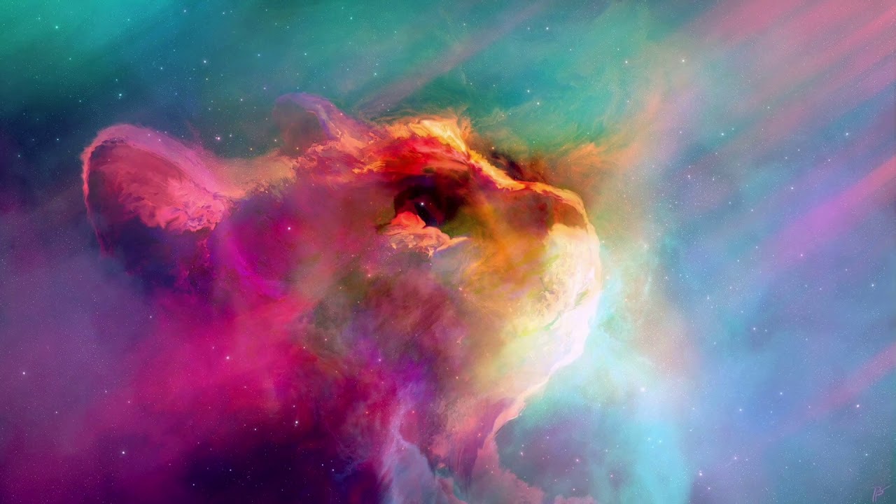 Wallpaper - HD Wallpaper 