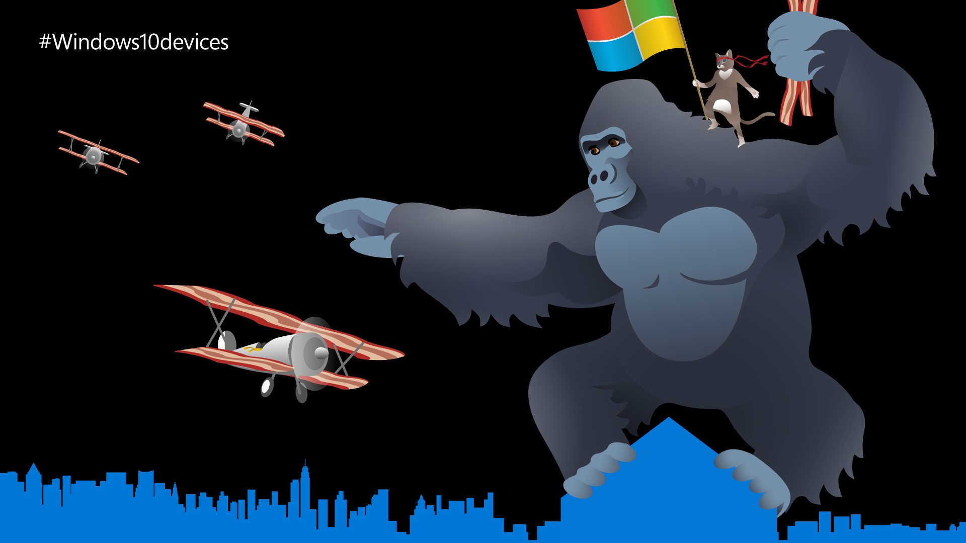 Windows Ninja Cat - HD Wallpaper 