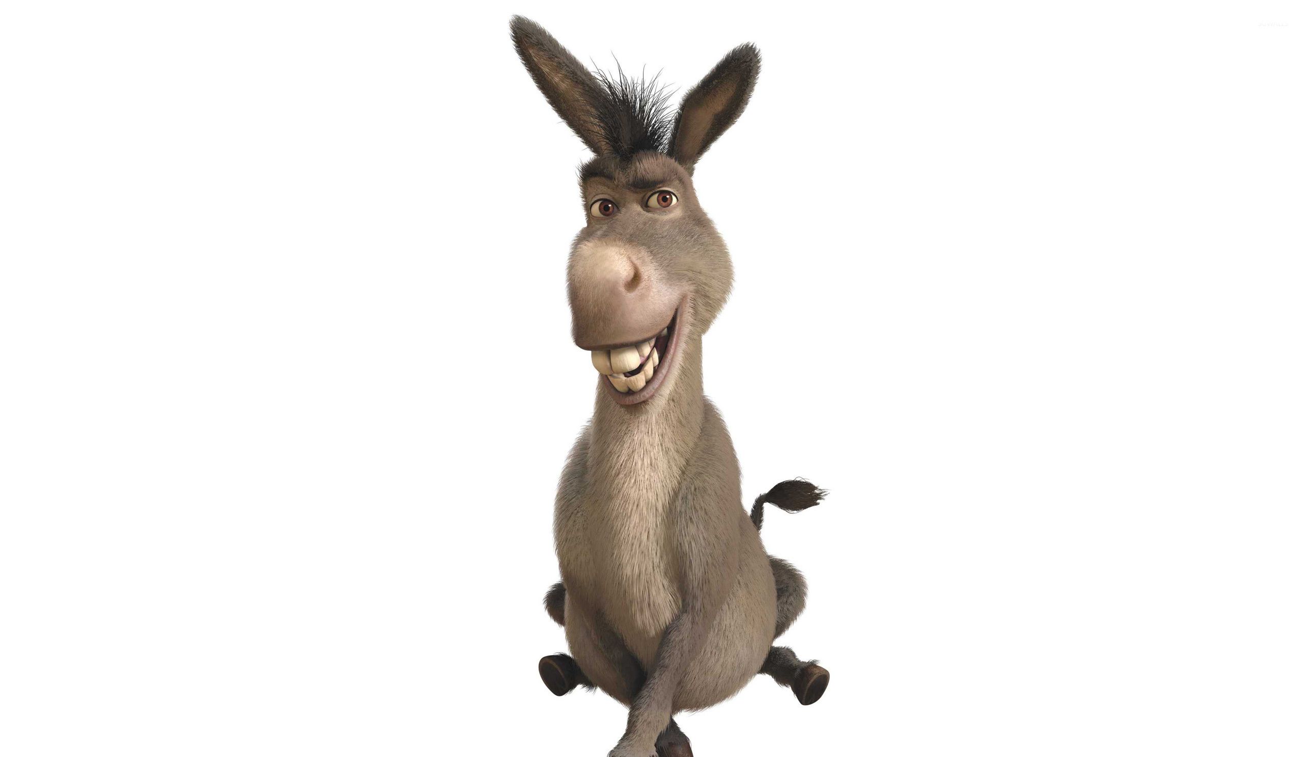 Shrek Wallpaper Hd - Shrek Donkey - HD Wallpaper 