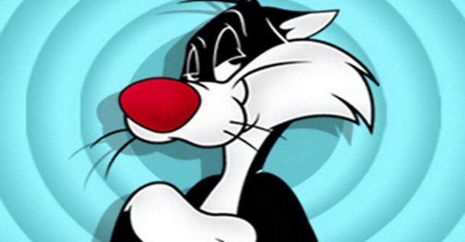 Sylvester Cat Wallpapers - Silvestre Looney Tunes Hd - HD Wallpaper 